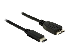 Delock Kabel SuperSpeed USB 10 Gbps (USB 3.1, Gen 2)